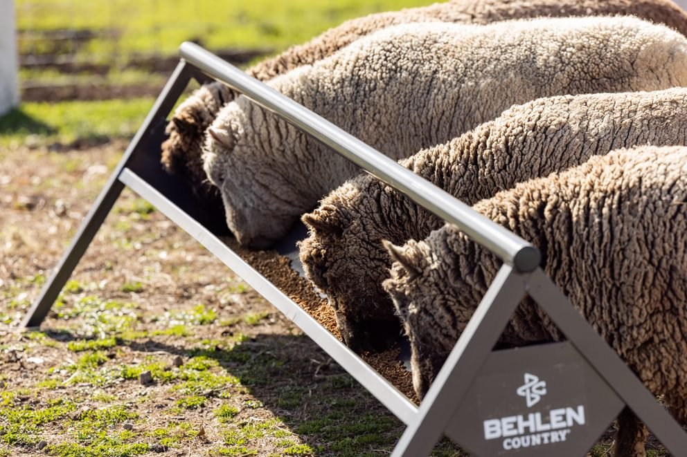 Livestock Feeders - Behlen Country The Commander Anti - Tip Feeder - Behlen Country