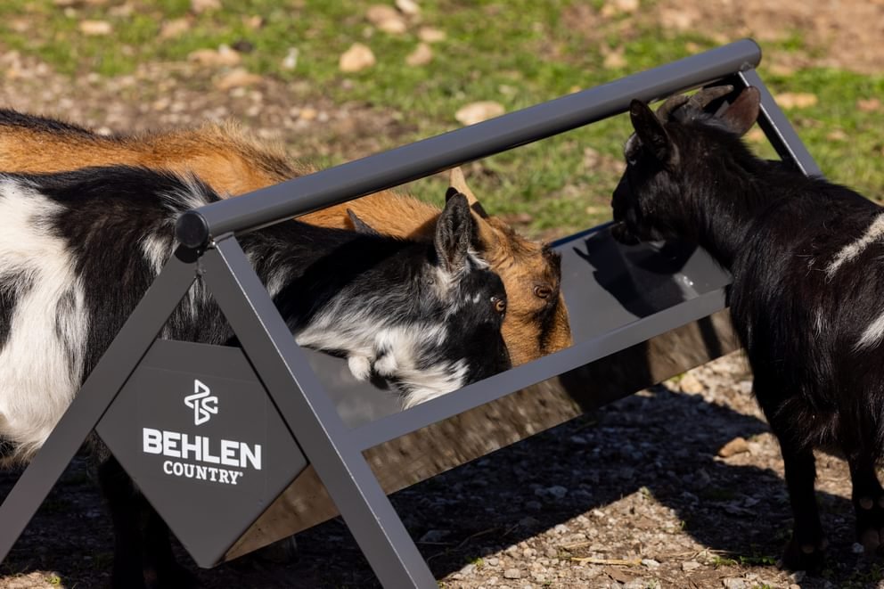 Livestock Feeders - Behlen Country The Commander Anti - Tip Feeder - Behlen Country