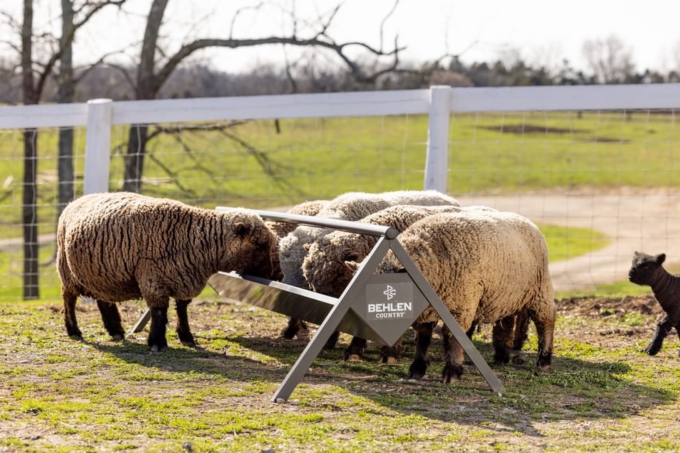 Livestock Feeders - Behlen Country The Commander Anti - Tip Feeder - Behlen Country