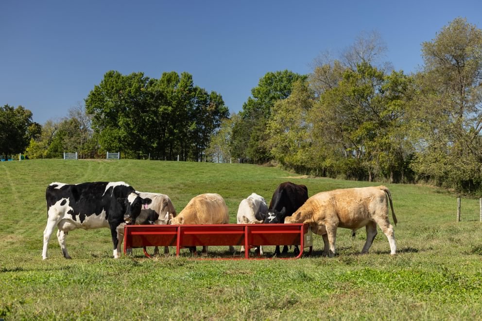 Bunk Feeders - Behlen Country The Vanguard Bunk Feeder - Behlen Country