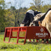 Bunk Feeders - Behlen Country The Vanguard Bunk Feeder - Behlen Country