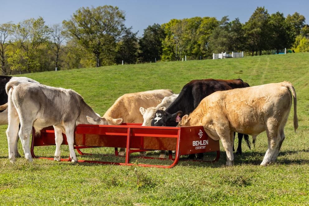 Bunk Feeders - Behlen Country The Vanguard Bunk Feeder - Behlen Country