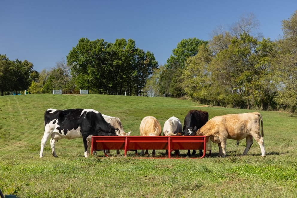 Bunk Feeders - Behlen Country The Vanguard Bunk Feeder - Behlen Country