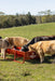 Bunk Feeders - Behlen Country The Vanguard Bunk Feeder - Behlen Country