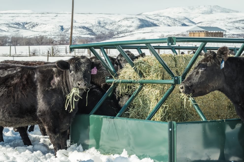 Hay Feeders - Behlen Country V - Smart Feeder - Behlen Country