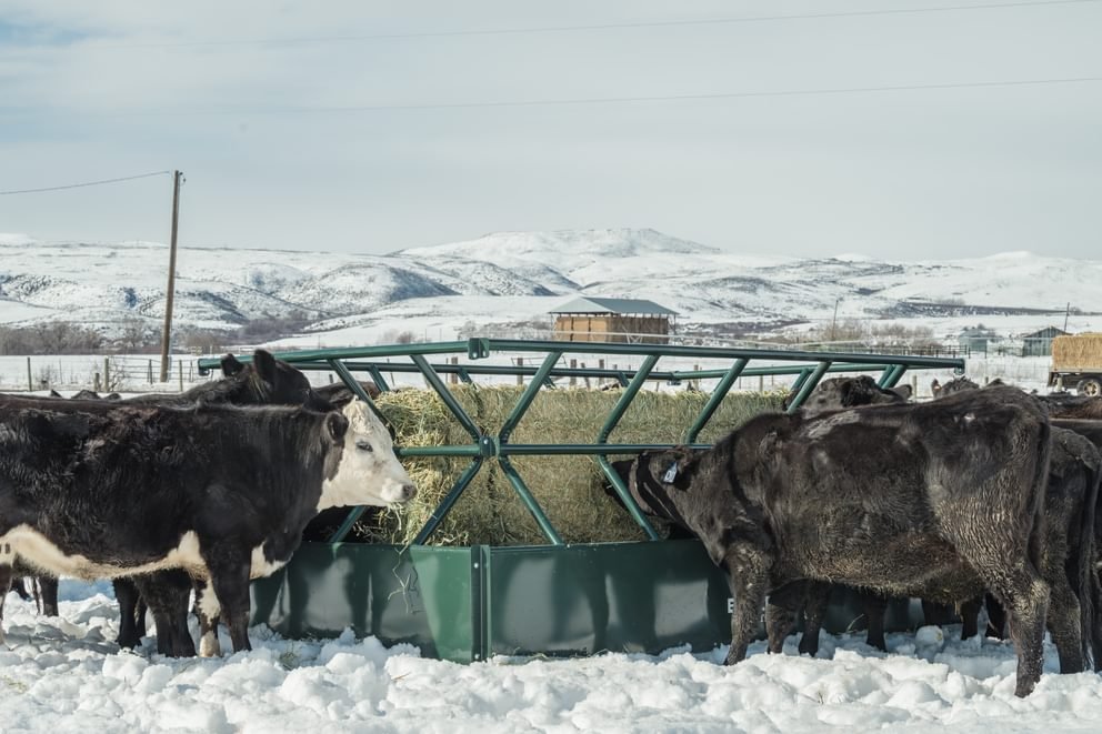 Hay Feeders - Behlen Country V - Smart Feeder - Behlen Country
