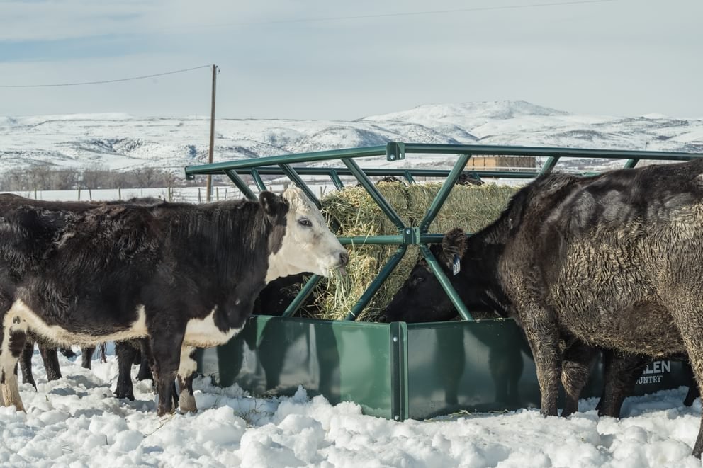 Hay Feeders - Behlen Country V - Smart Feeder - Behlen Country