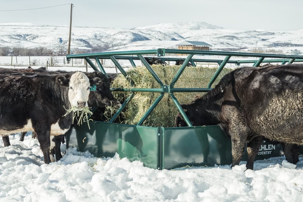 Hay Feeders - Behlen Country V - Smart Feeder - Behlen Country