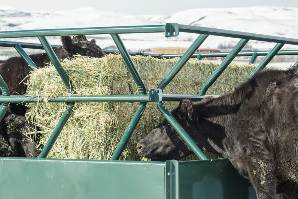Hay Feeders - Behlen Country V - Smart Feeder - Behlen Country