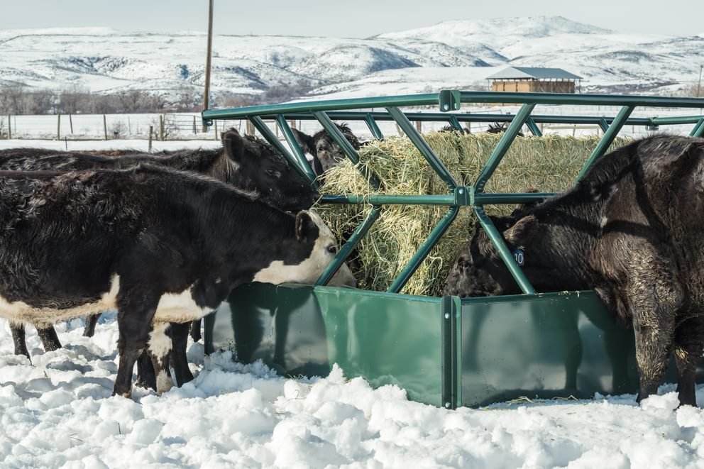 Hay Feeders - Behlen Country V - Smart Feeder - Behlen Country