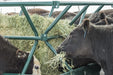 Hay Feeders - Behlen Country V - Smart Feeder - Behlen Country