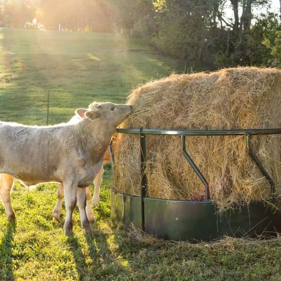 Bale Feeders - Behlen Hay Guard Round Bale Feeder - Behlen Country