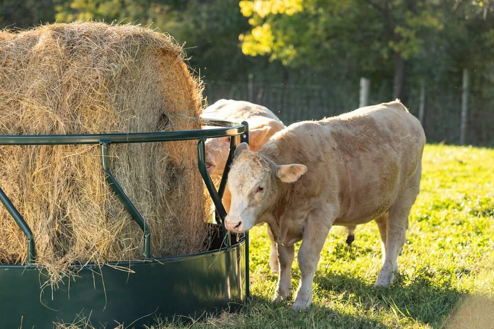 Bale Feeders - Behlen Hay Guard Round Bale Feeder - Behlen Country