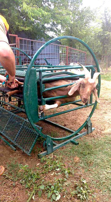 Lakeland SG200 – Sheep & Goat Handling System