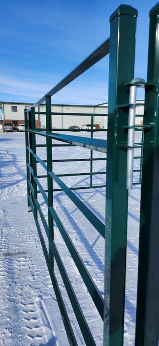 Panels & Gates - Lakeland 10ft Powder Coated Panel with Man Gate - Lakeland Farm and Ranch