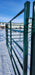 Panels & Gates - Lakeland 10ft Powder Coated Panel with Man Gate - Lakeland Farm and Ranch