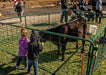 Panels & Gates - Lakeland 36″ High - Wire Mesh Divider Panel/Gate - Lakeland Farm and Ranch