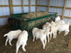 Bale Feeders - Lakeland 8ft Small Tombstone Bale Feeder - Lakeland Farm and Ranch