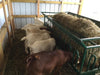 Bale Feeders - Lakeland 8ft Small Tombstone Bale Feeder - Lakeland Farm and Ranch