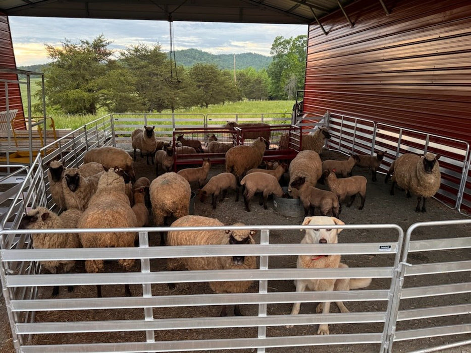 Panels & Gates - Lakeland Aluminum Easy Panel - Lakeland Farm and Ranch