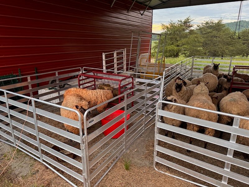 Panels & Gates - Lakeland Aluminum Easy Panel - Lakeland Farm and Ranch