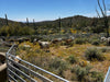 Panels & Gates - Lakeland Aluminum Easy Panel - Lakeland Farm and Ranch
