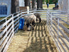 Panels & Gates - Lakeland Aluminum Easy Panel - Lakeland Farm and Ranch