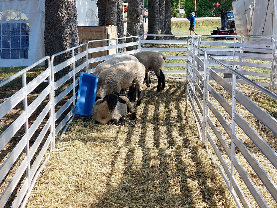 Panels & Gates - Lakeland Aluminum Easy Panel - Lakeland Farm and Ranch