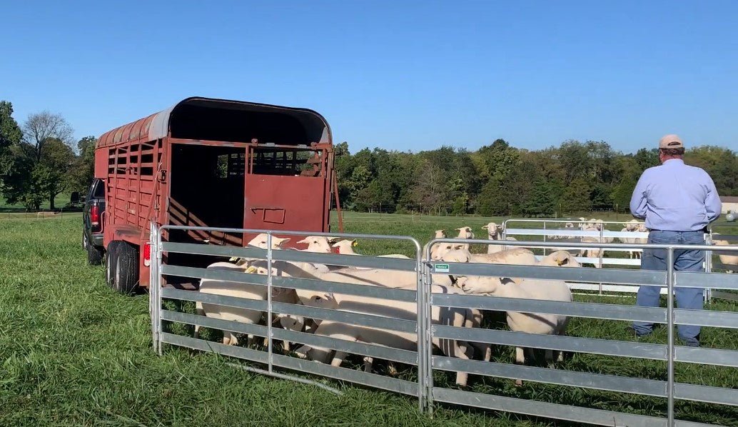 Panels & Gates - Lakeland Aluminum Easy Panel - Lakeland Farm and Ranch