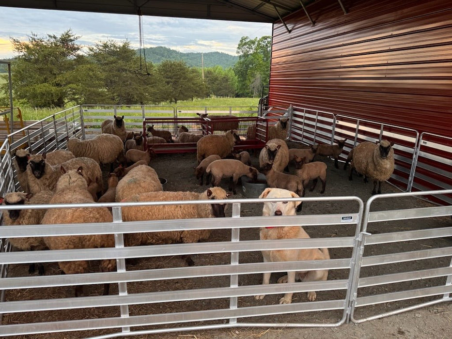 Panels & Gates - Lakeland Aluminum Easy Panel - Lakeland Farm and Ranch