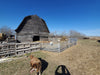 Panels & Gates - Lakeland Aluminum Easy Panel - Lakeland Farm and Ranch
