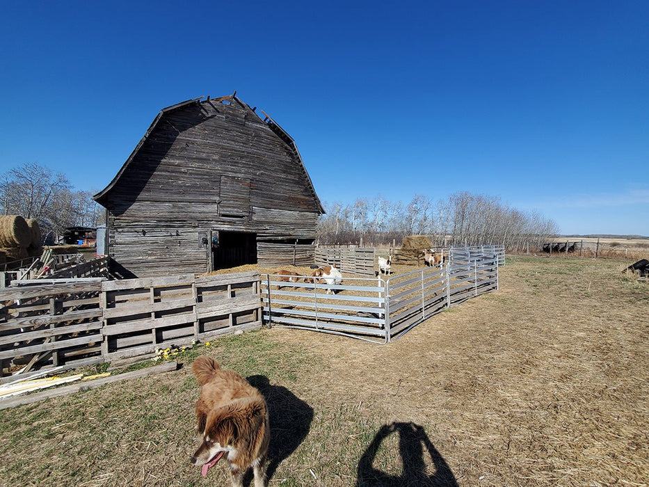 Panels & Gates - Lakeland Aluminum Easy Panel - Lakeland Farm and Ranch