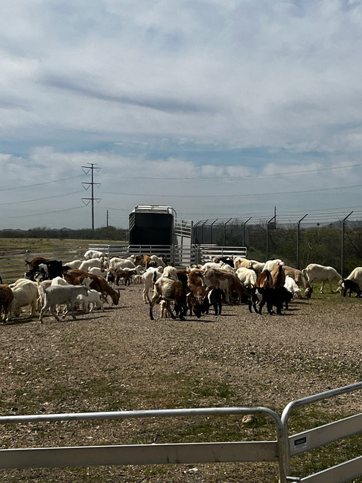 Panels & Gates - Lakeland Aluminum Easy Panel - Lakeland Farm and Ranch