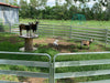 Panels & Gates - Lakeland Aluminum Easy Panel - Lakeland Farm and Ranch