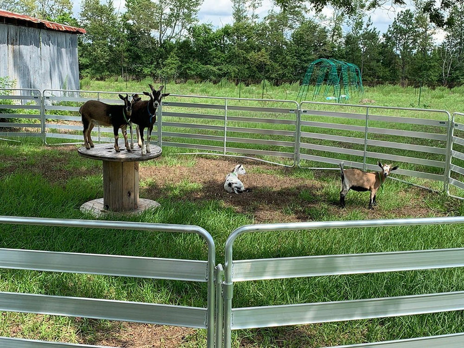 Panels & Gates - Lakeland Aluminum Easy Panel - Lakeland Farm and Ranch