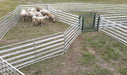 Panels & Gates - Lakeland Aluminum Easy Panel - Lakeland Farm and Ranch