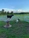 Panels & Gates - Lakeland Aluminum Easy Panel - Lakeland Farm and Ranch