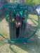 Handling Equipment - Lakeland Calf Tip Table - Lakeland Farm and Ranch