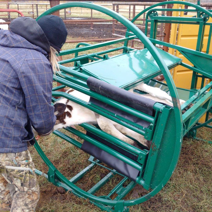Handling Equipment - Lakeland Calf Tip Table - Lakeland Farm and Ranch