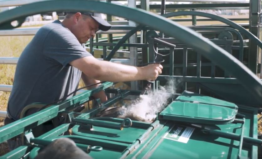 Handling Equipment - Lakeland Calf Tip Table - Lakeland Farm and Ranch