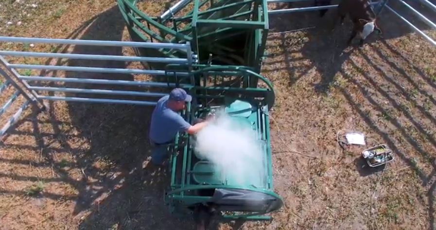 Handling Equipment - Lakeland Calf Tip Table - Lakeland Farm and Ranch