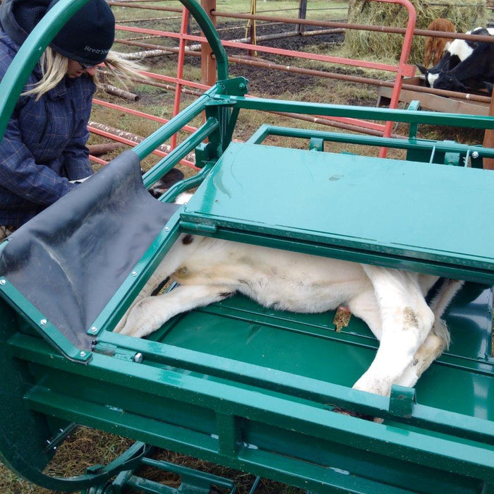 Handling Equipment - Lakeland Calf Tip Table - Lakeland Farm and Ranch