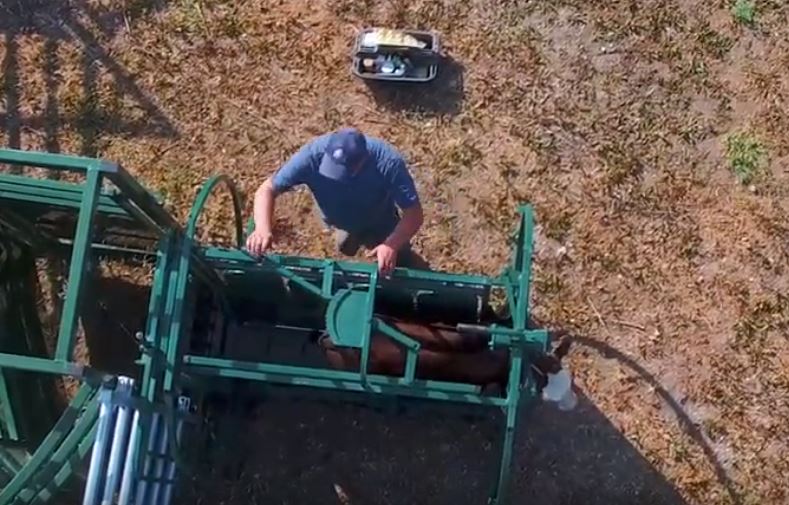 Handling Equipment - Lakeland Calf Tip Table - Lakeland Farm and Ranch
