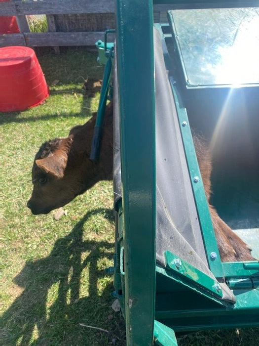 Handling Equipment - Lakeland Calf Tip Table - Lakeland Farm and Ranch
