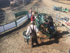 Handling Equipment - Lakeland Calf Tip Table - Lakeland Farm and Ranch