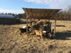 Collapsible Feeders - Lakeland Collapsible Sheep & Goat Feeder – 3″ Spacing - Lakeland Farm and Ranch