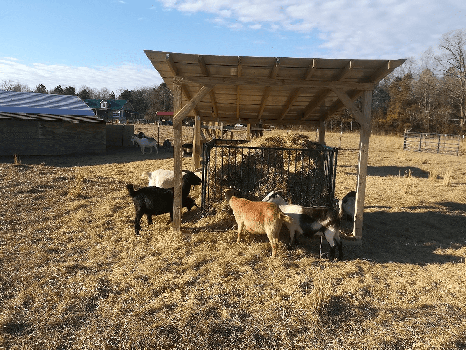 Collapsible Feeders - Lakeland Collapsible Sheep & Goat Feeder – 3″ Spacing - Lakeland Farm and Ranch
