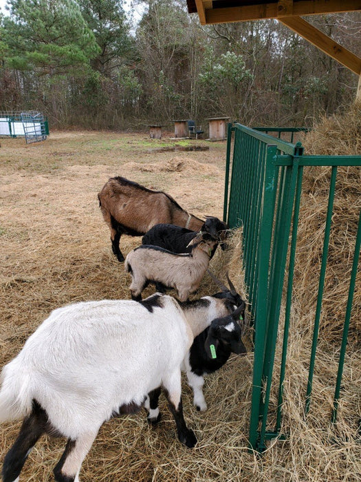 Collapsible Feeders - Lakeland Collapsible Sheep & Goat Feeder – 3″ Spacing - Lakeland Farm and Ranch