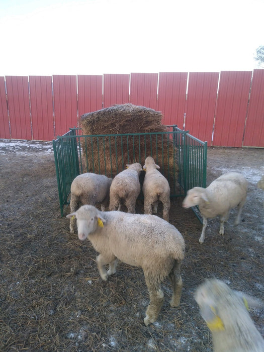 Collapsible Feeders - Lakeland Collapsible Sheep & Goat Feeder – 3″ Spacing - Lakeland Farm and Ranch