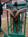 Spin Trim Chute - Lakeland Deluxe Spin Trim Chute - Lakeland Farm and Ranch